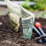 money-1604921_1920-1100x550