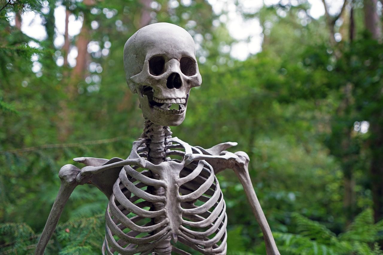 skeleton-1522620_1280_min
